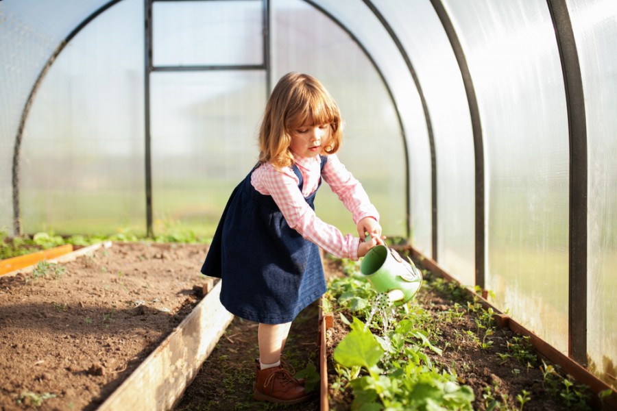 Comment construire efficacement votre propre serre de jardin