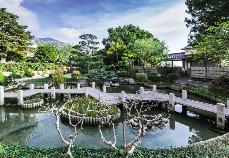 Mini-jardin japonais : comment créer cet espace extérieur ?